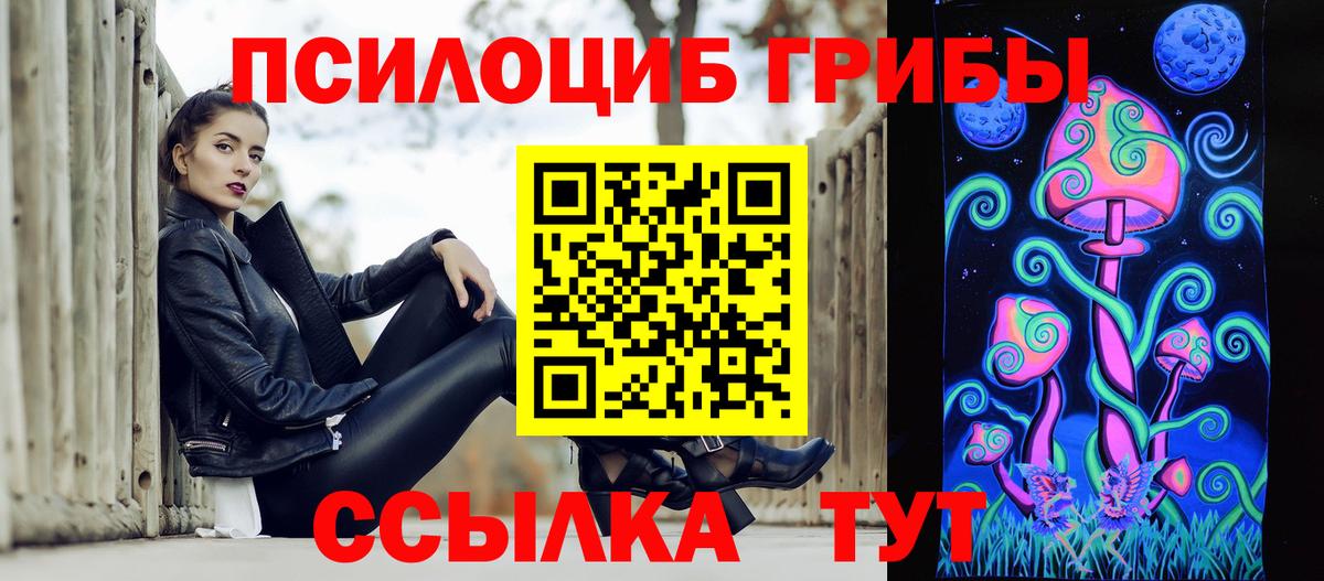 Галлюциногенные грибы мицелий  Вход с VPN  Тара  Псилоцибиновые грибы Psilocybe 