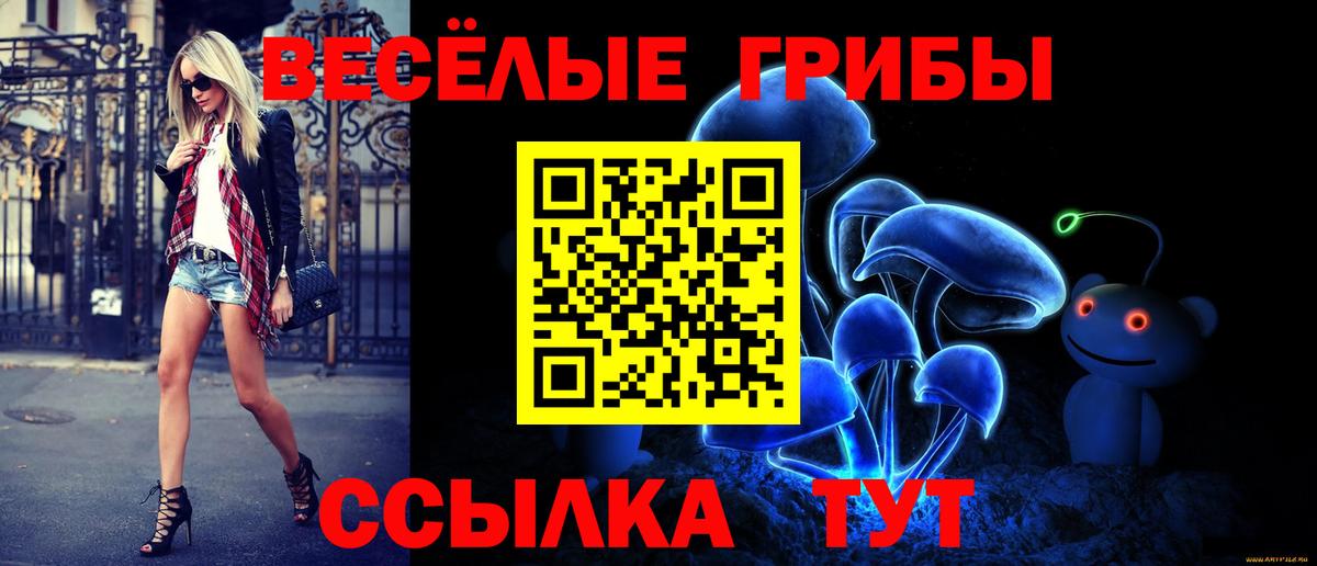 Псилоцибиновые грибы MAGIC MUSHROOMS Тара