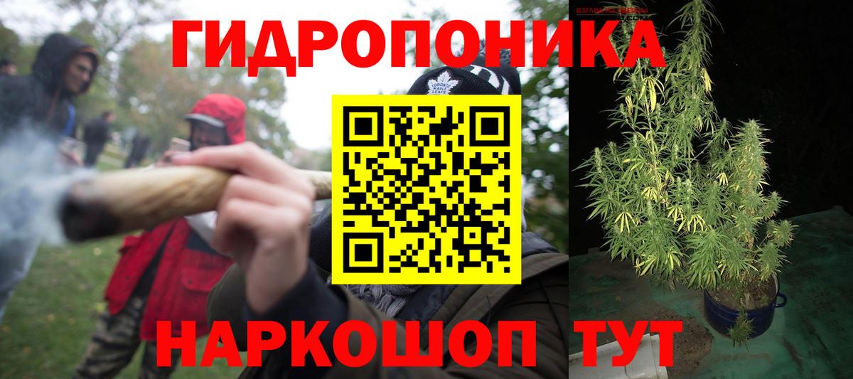Шишки марихуана White Widow  Вход с VPN  Тара  Бошки марихуана тримм 