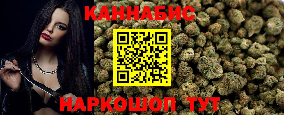 Конопля марихуана Тара